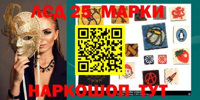 крисы Нальчик